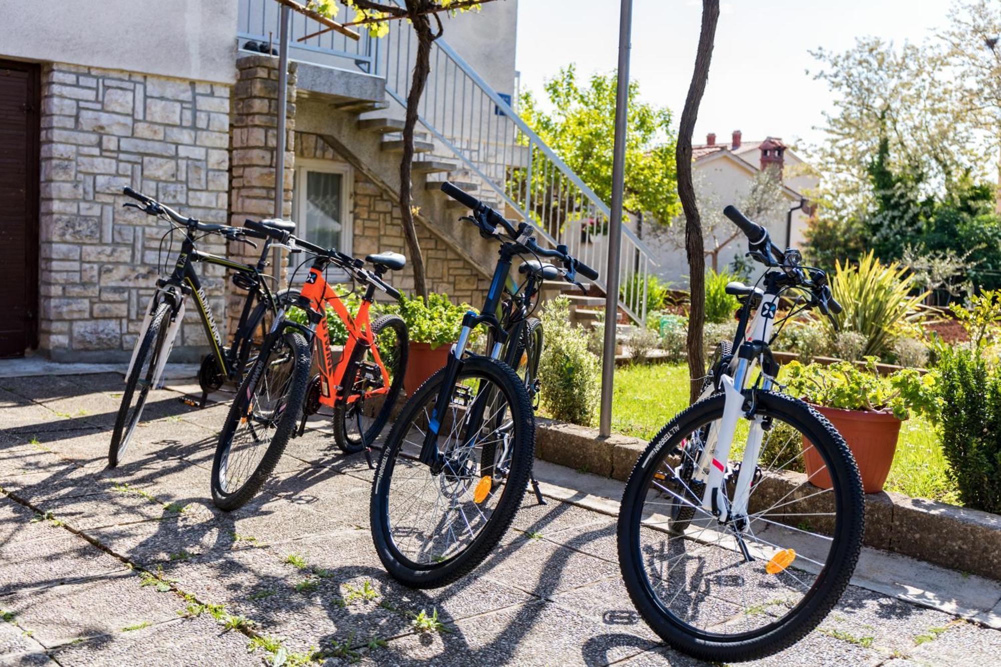 Apartment Tesic Close To The Sea With Shared 4Xbicycles Фажана Екстер'єр фото