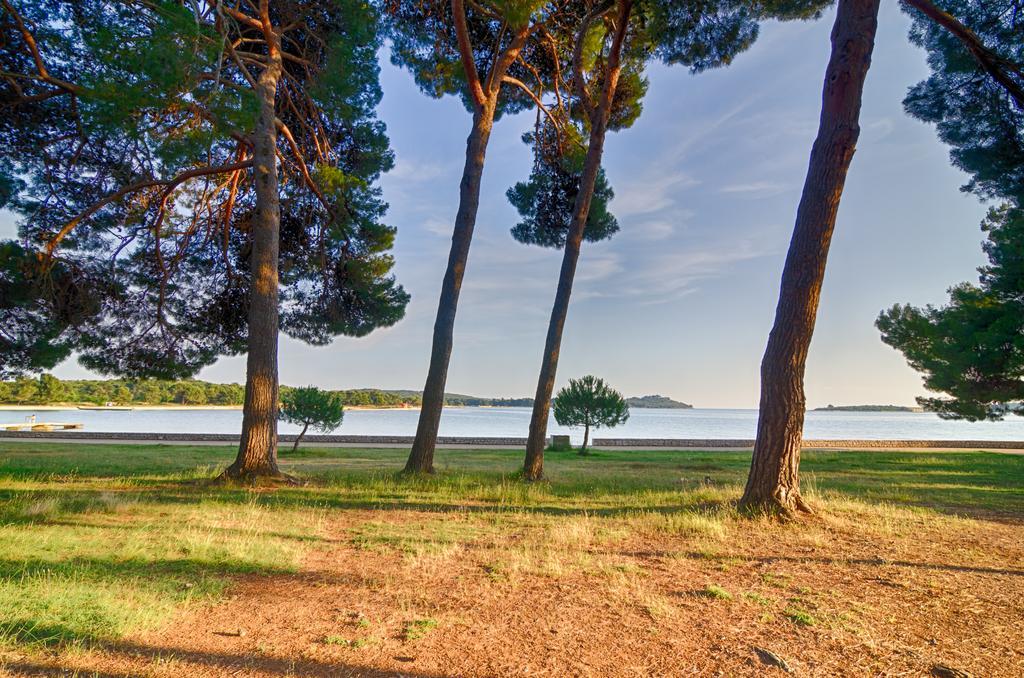Apartment Tesic Close To The Sea With Shared 4Xbicycles Фажана Екстер'єр фото